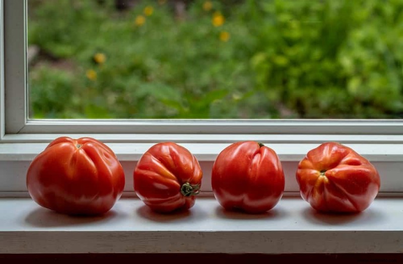 5 formas de madurar los tomates verdes