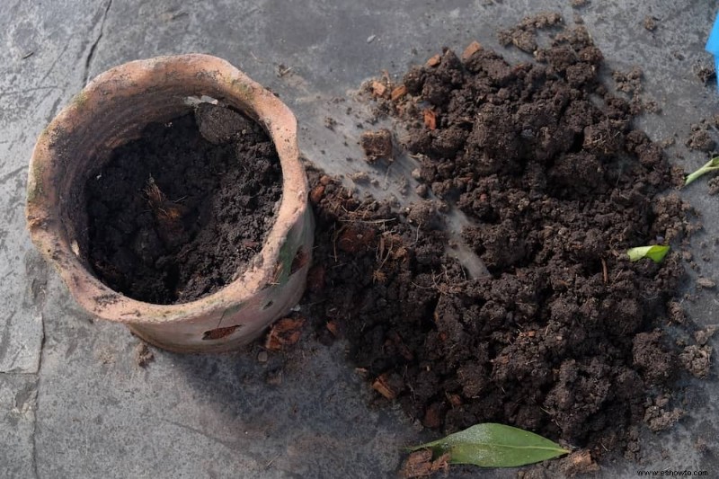 Qué hay en el suelo del jardín:suelo del jardín frente a otros suelos