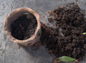 Tierra de Jardín vs. Tierra para Macetas: Composición, Diferencias y Guía de Elección