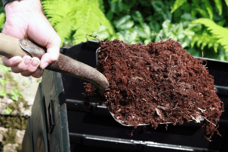7 razones para usar tierra vegetal en su jardín