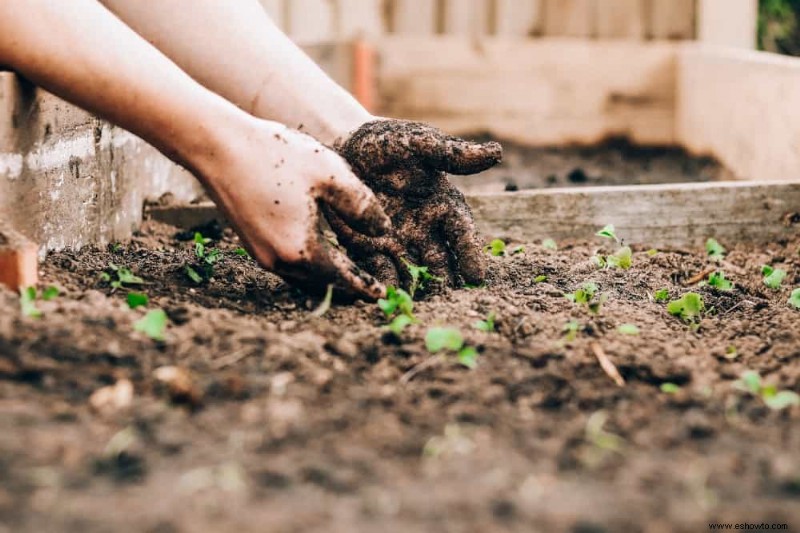 7 razones para usar tierra vegetal en su jardín