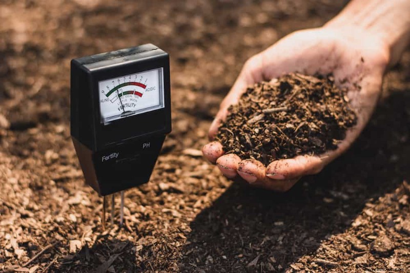 Cómo hacer tu propia tierra de jardín