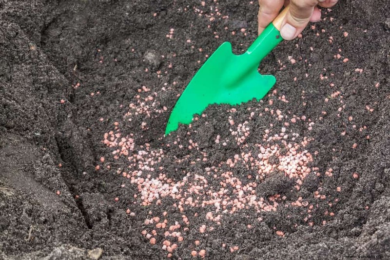 Cómo hacer tu propia tierra de jardín