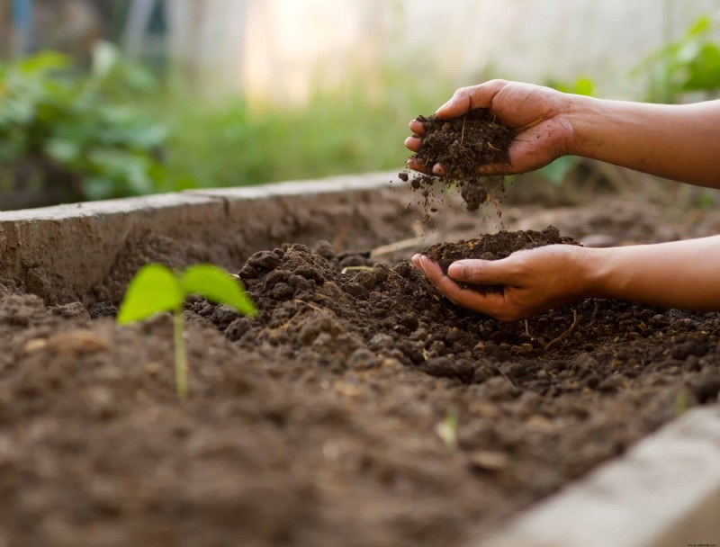 Cómo preparar el suelo para un jardín