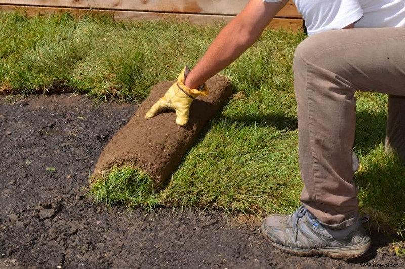 Cómo preparar el suelo para un jardín