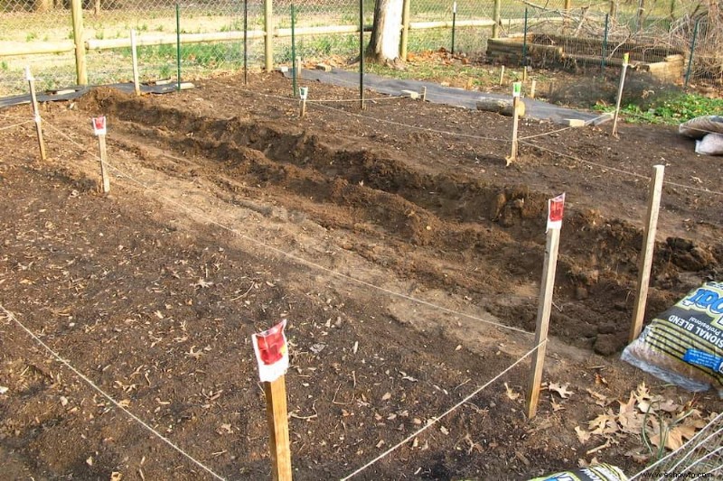 Cómo preparar el suelo para un jardín