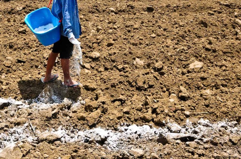 Cómo preparar el suelo para un jardín