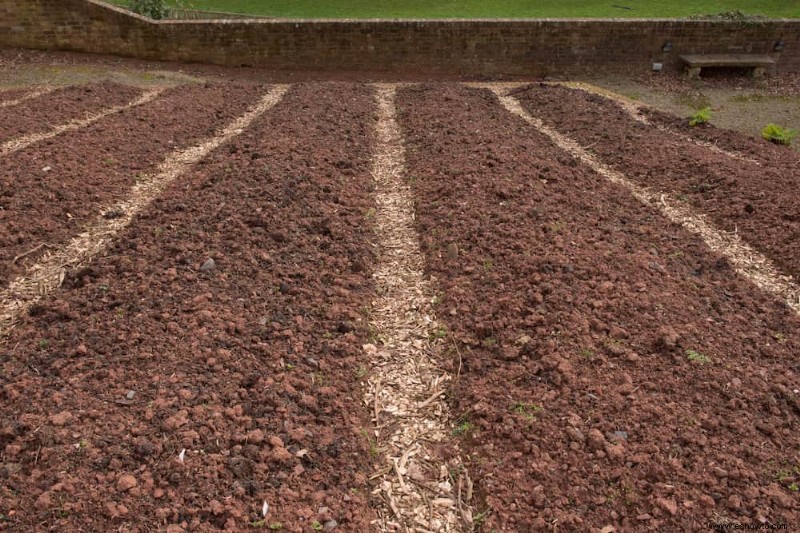 Cómo preparar el suelo para un jardín