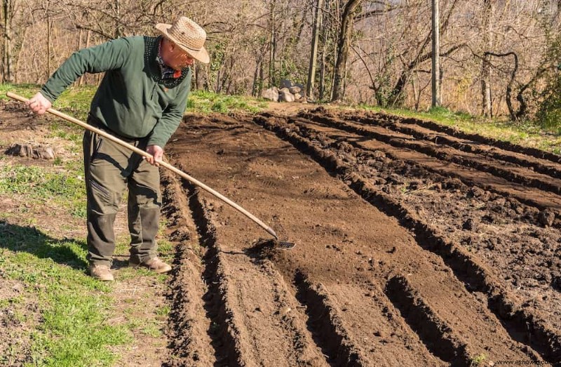 Cómo preparar el suelo para un jardín