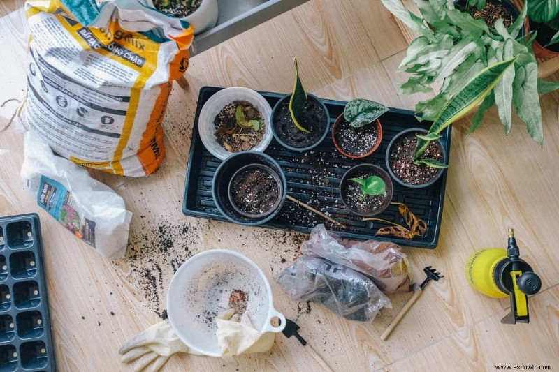 ¿Qué tierra para macetas es mejor para las verduras en contenedores?