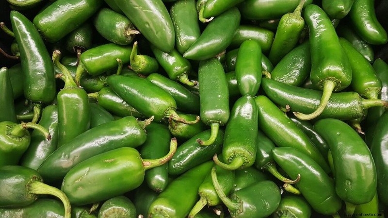 Los 5 mejores pimientos para un jardín picante