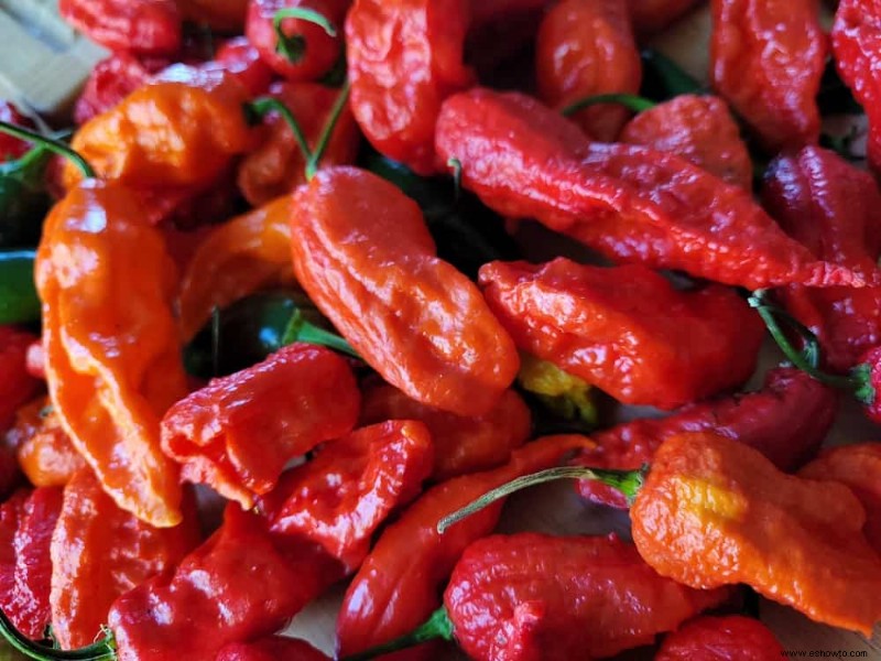 Los 5 mejores pimientos para un jardín picante