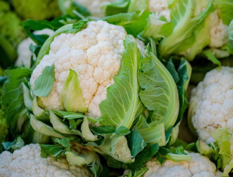 Cómo y cuándo cosechar coliflor