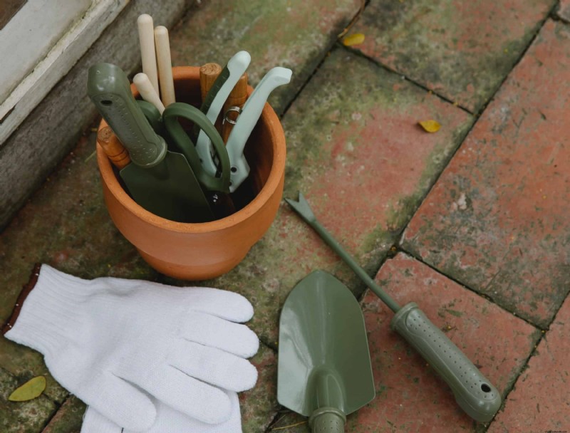 Cómo propagar plantas con capas de aire