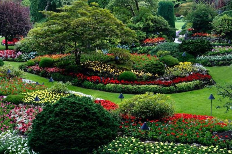 tierra vegetal vs tierra de jardín:¿cuál es la diferencia?