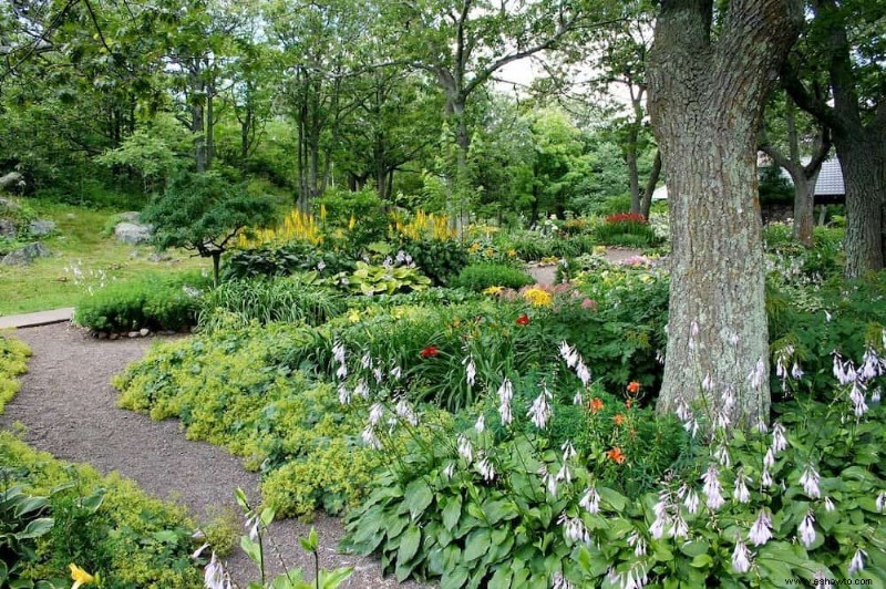 tierra vegetal vs tierra de jardín:¿cuál es la diferencia?