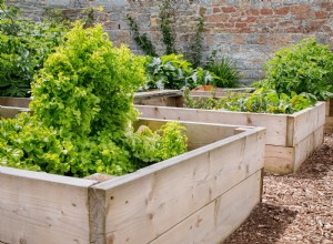 ¿Cuál es el mejor suelo para camas elevadas de jardín? Guía experta