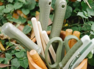 Guía Experta: Cómo Cosechar Sandía Dulce y Jugosa en Tu Huerto