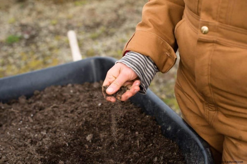 Por qué crecen hongos en la tierra para macetas