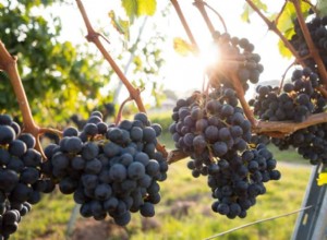 5 Plantas Frutales Trepadoras Ideales para Espacios Pequeños en Tu Jardín