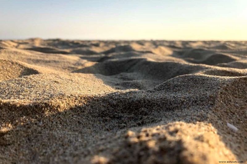 Cómo hacer tierra casera para suculentas