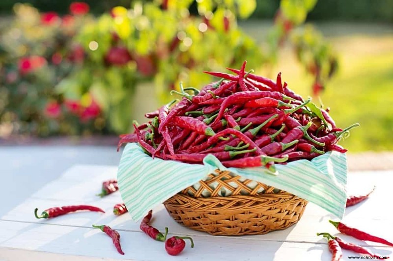 Las mejores verduras que puedes cultivar en interiores