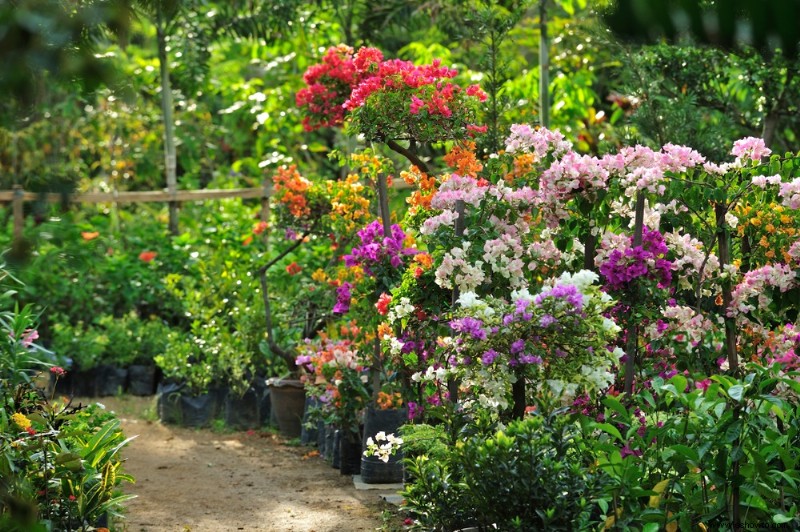 5 técnicas sencillas para mejorar el suelo del jardín