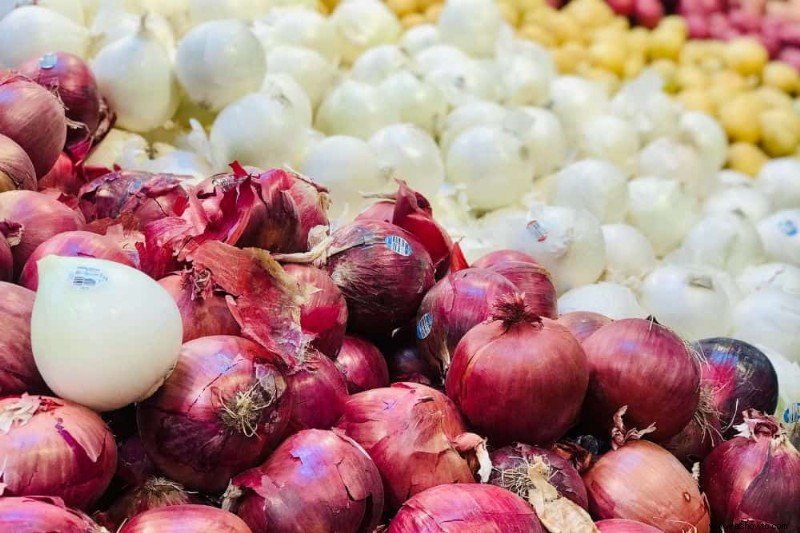 Cómo cultivar y plantar cebollas a partir de cebollas