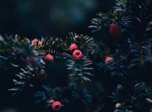 5 Plantas Tóxicas Comunes en Patios Traseros: Identifícalas y Evítalas para Proteger a tu Familia