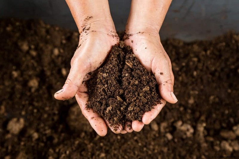 Cómo hacer tu propia tierra orgánica para macetas