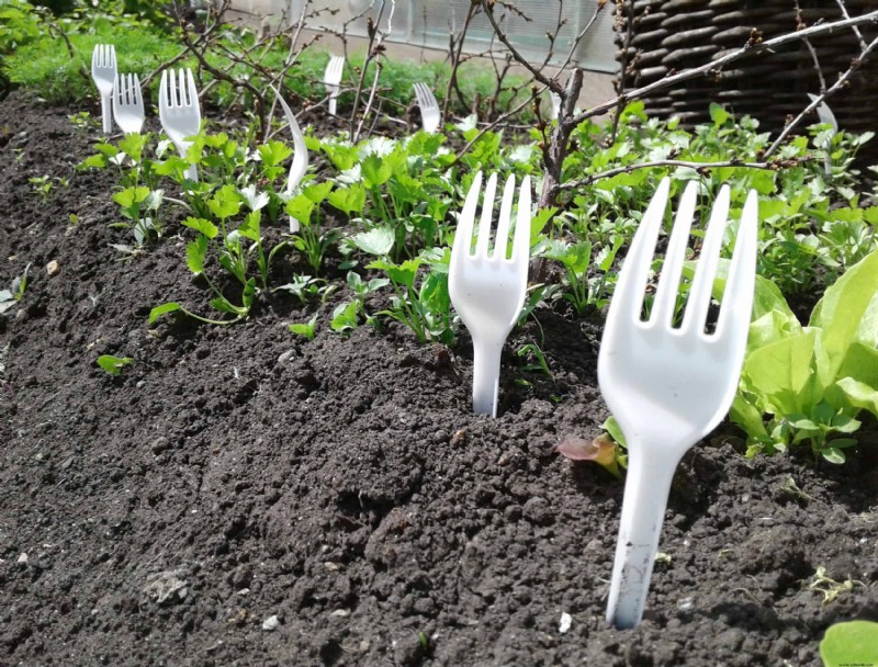 5 trucos que cambiarán la forma en que cultivas el jardín