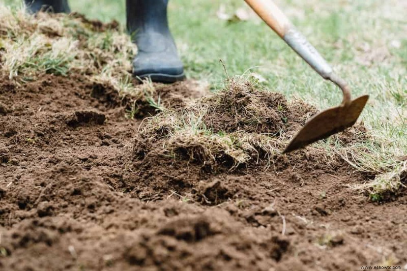 13 errores que se deben evitar al cultivar pepinos