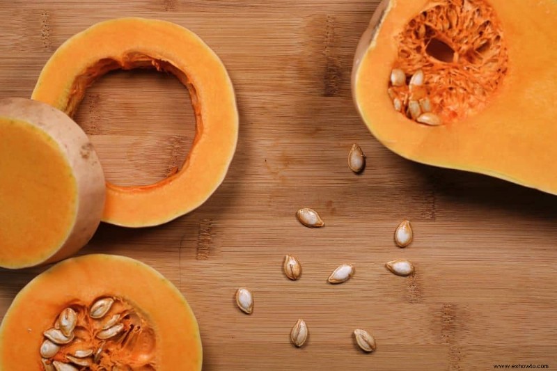 Cómo cultivar y cuidar la calabaza moscada