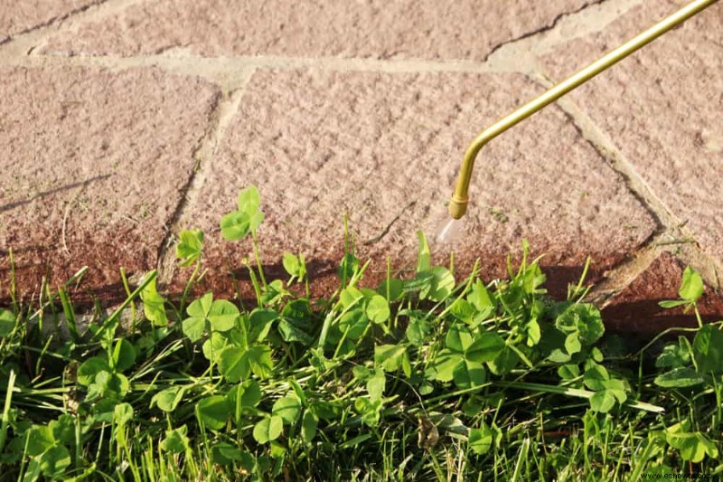 Cómo evitar que crezcan malas hierbas en la entrada de su casa