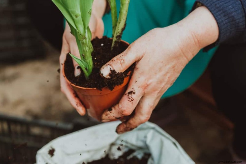 Diez consejos para un jardín con balcón exitoso