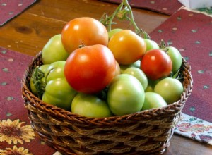 Guía Experta: Cómo Almacenar Tomates para que Duren Más Tiempo