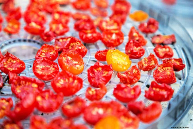 Cómo almacenar tomates