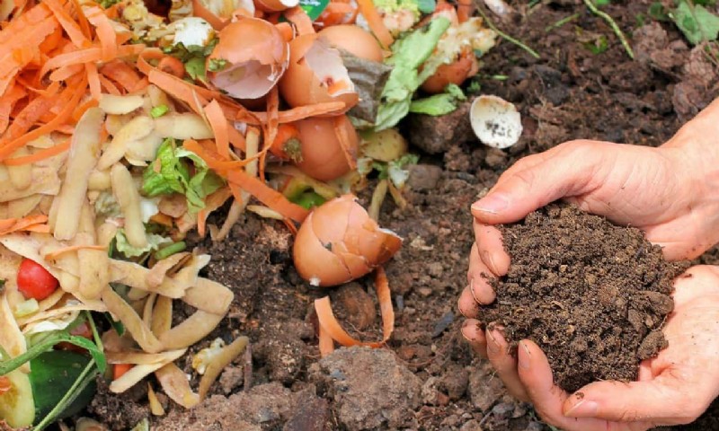 Cómo almacenar compost