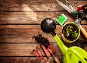 Cómo cultivar limoncillo (hierba limón) en casa: Guía experta paso a paso