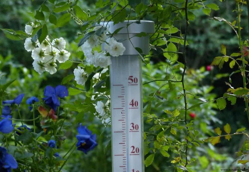 Diez consejos para cultivar un jardín de invernadero