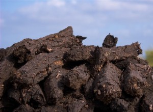 Por qué dejar de usar turba en tu jardín: razones ambientales y alternativas sostenibles