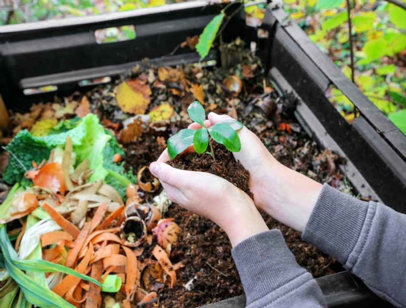 El mejor momento para agregar compost a su jardín