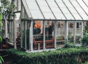 El Mejor Suelo para Plantas en Invernadero: Guía Experta con Pruebas de pH