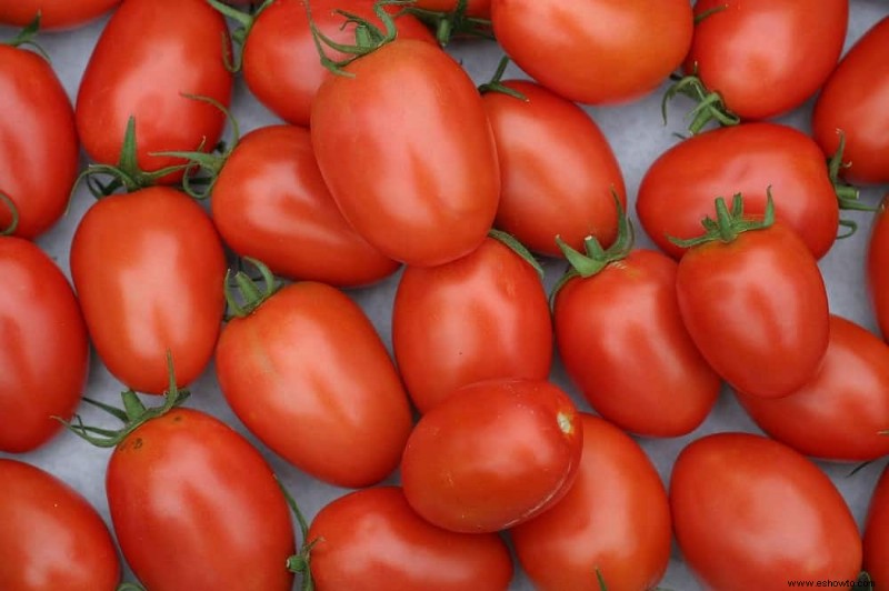 Por qué los tomates tienen la piel dura