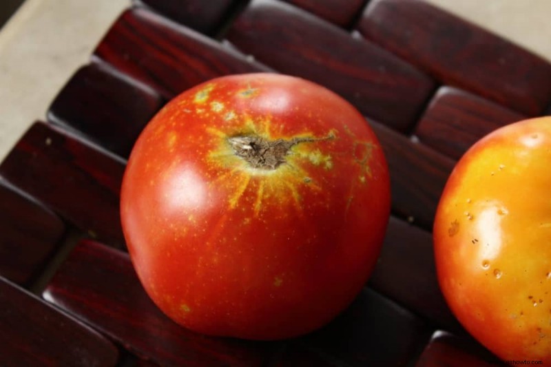 Por qué los tomates tienen la piel dura