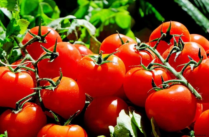 Por qué los tomates tienen la piel dura