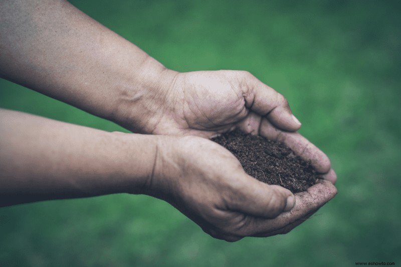 Cómo preparar la tierra para la jardinería en macetas