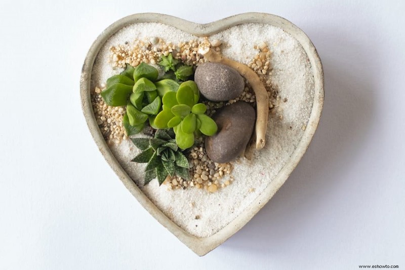 Cómo preparar la tierra para la jardinería en macetas