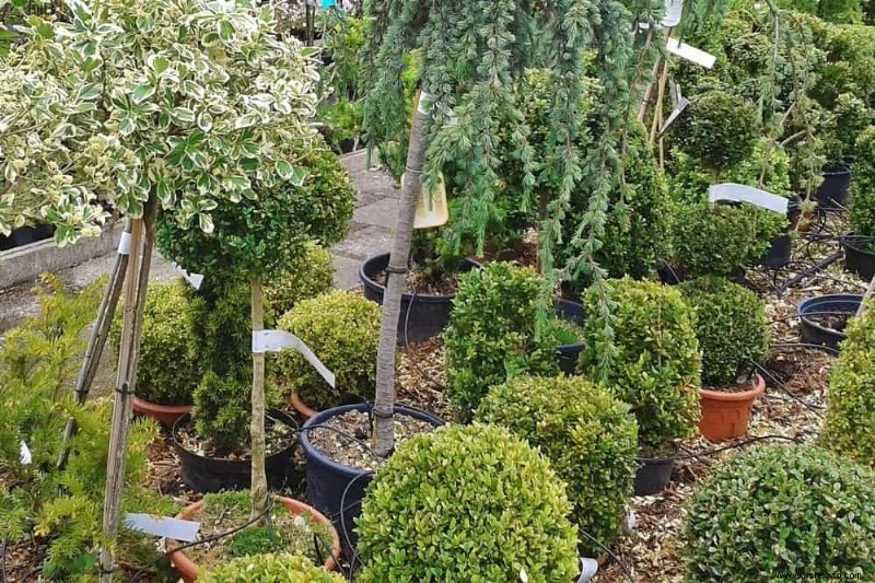 Cómo preparar la tierra para la jardinería en macetas