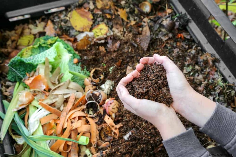 7 formas económicas de reutilizar tierra para macetas